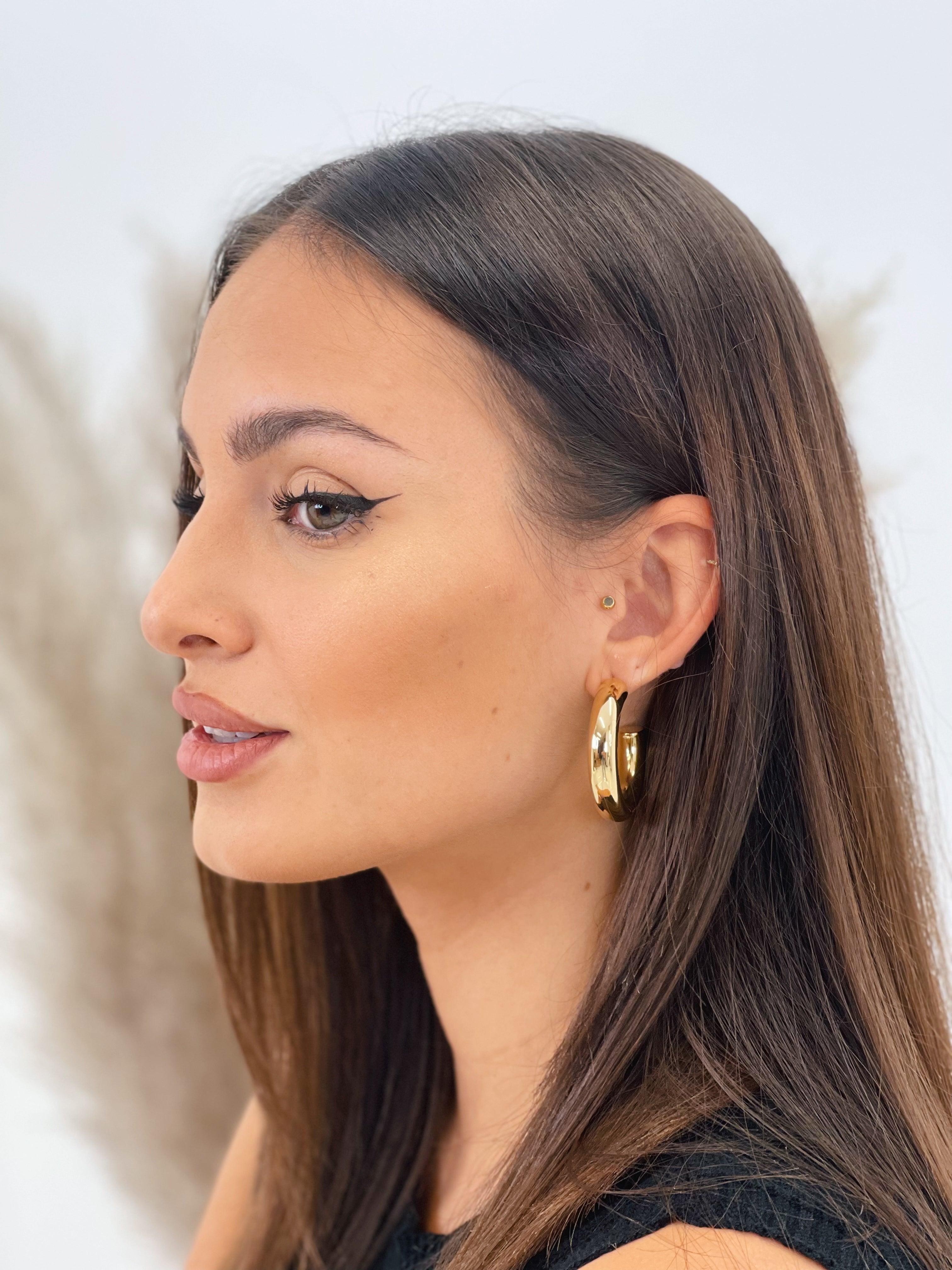 Arracades de cèrcol